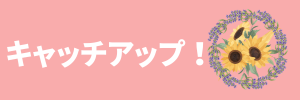 キャッチアップ！